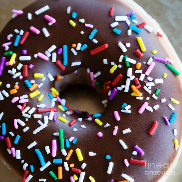 Donut Poster featuring the photograph Donut with Sprinkles by Kim Fearheiley