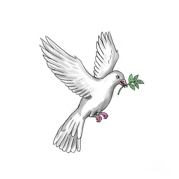 Details more than 79 dove with olive branch tattoo - esthdonghoadian