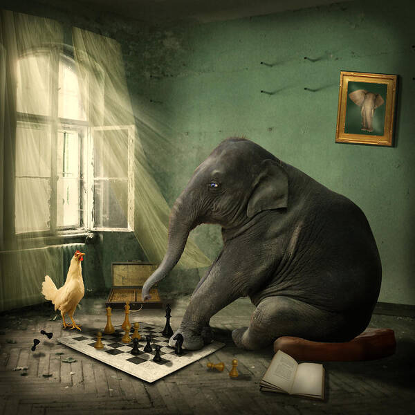 Elephant Poster featuring the photograph Elephant Chess by Ethiriel Photography