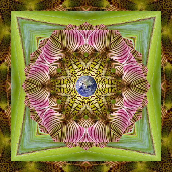 Mandalas Poster featuring the photograph EpiCenter by Bell And Todd