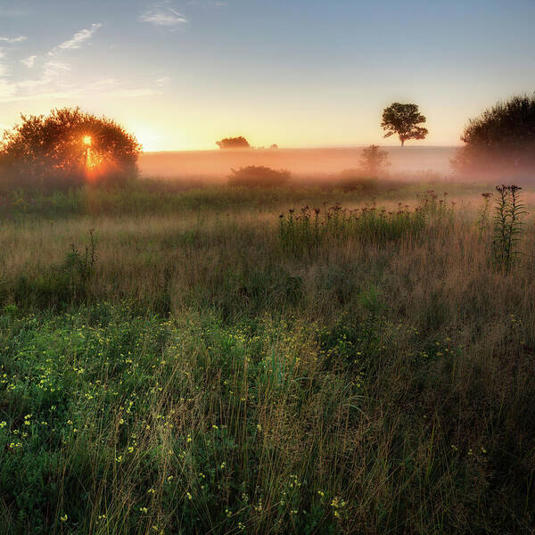 Square Poster featuring the photograph Ethereal Sunrise Square by Bill Wakeley