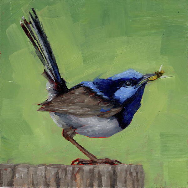 Wren Poster featuring the painting Fairy Wren With Lunch by Margaret Stockdale