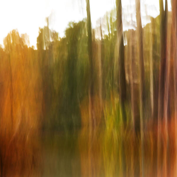Abstract Poster featuring the photograph Fall Energy by Margaret Denny