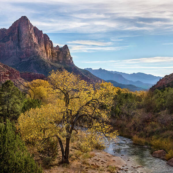 Watchman Tower Poster featuring the photograph Fall Evening at Zion by James Woody