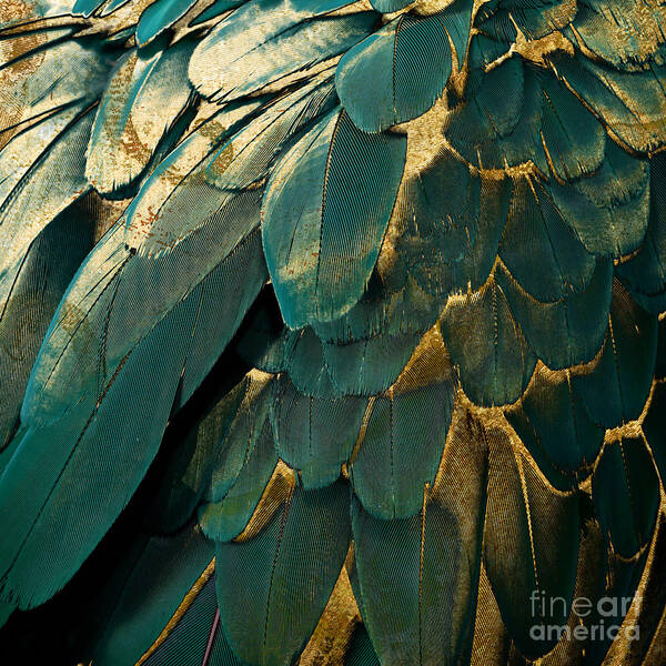 Feathers Poster featuring the painting Feather Glitter Teal and Gold by Mindy Sommers