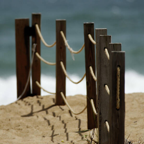 Fence Poster featuring the photograph Fence Along the Beach by Julie Niemela