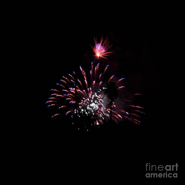 Red Poster featuring the photograph Firework by Bridgette Gomes