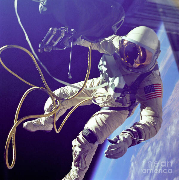 Science Poster featuring the photograph First American Walking In Space, Edward by Nasa