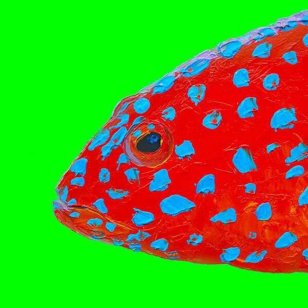 Strawberry Grouper Fish Poster featuring the painting Fish Art - Bathroom Wall Decor by Jan Matson
