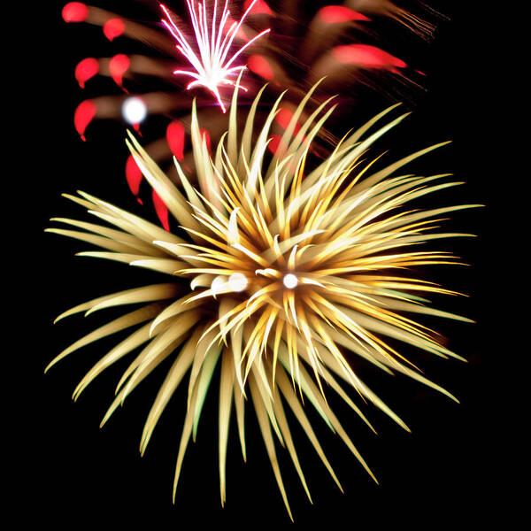 Fireworks Poster featuring the photograph Flowerworks #40 by Sandy Swanson