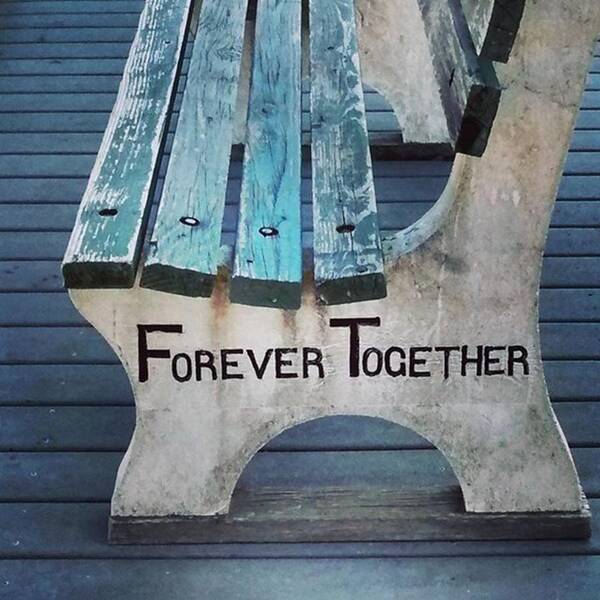 Forever Poster featuring the photograph Forever Together by Colleen Kammerer