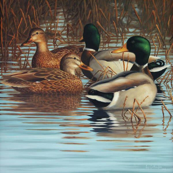 Mallards Poster featuring the painting Four Mallards by Guy Crittenden