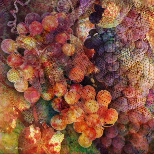 Grapes Poster featuring the digital art Fruit of the Vine by Barbara Berney