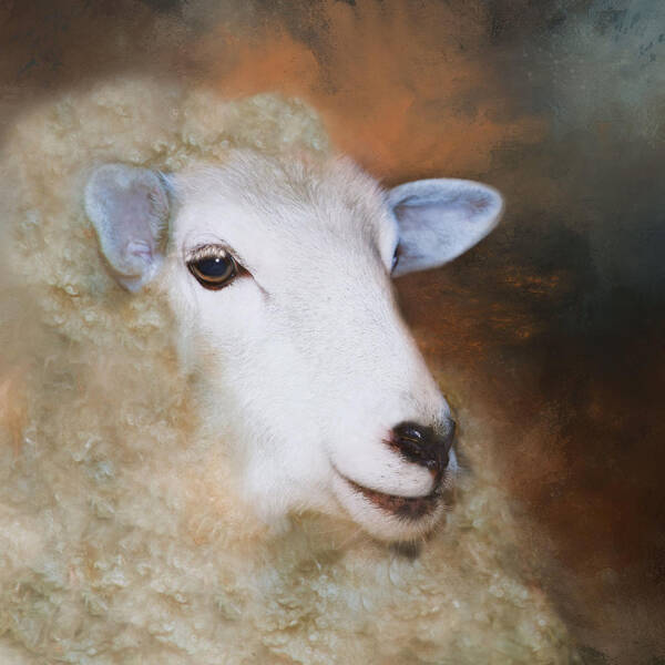 Sheep Poster featuring the photograph Fully Woolly by Robin-Lee Vieira