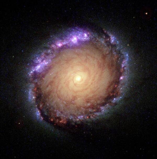 Barred Poster featuring the painting Galaxy NGC 1512 by Hubble Space Telescope