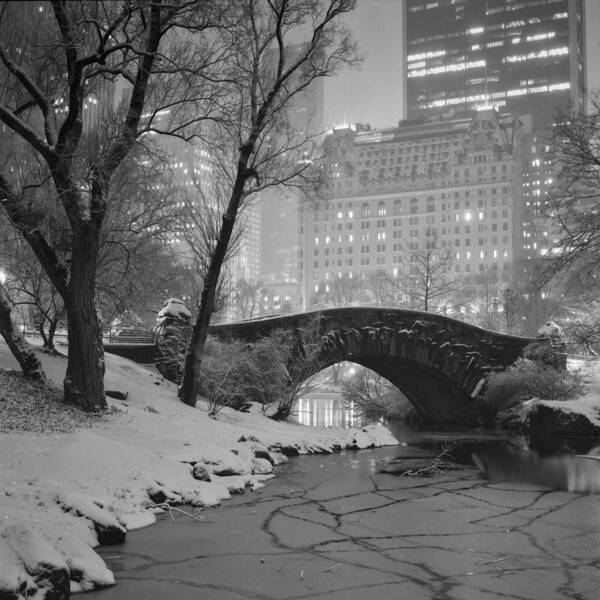 Gastow Bridge Poster featuring the photograph Gapstow Bridge In Snow by Randy Lemoine
