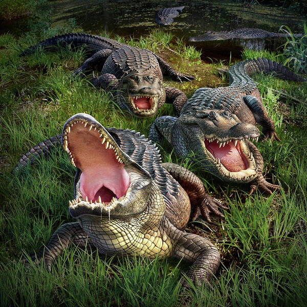 Alligator Poster featuring the digital art Gator Aid by Jerry LoFaro