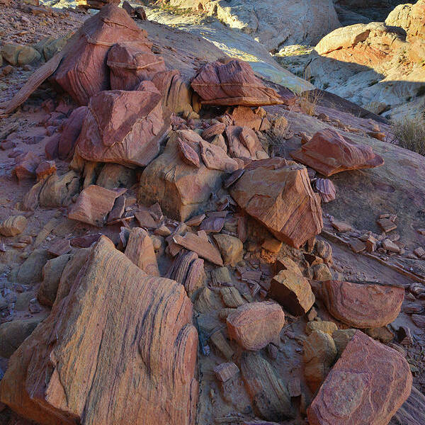 Valley Of Fire State Park Poster featuring the photograph Golden Domes of Valley of Fire by Ray Mathis