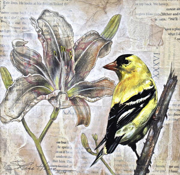 Mixed Media Poster featuring the painting Goldfinch and Lily by Sheri Howe