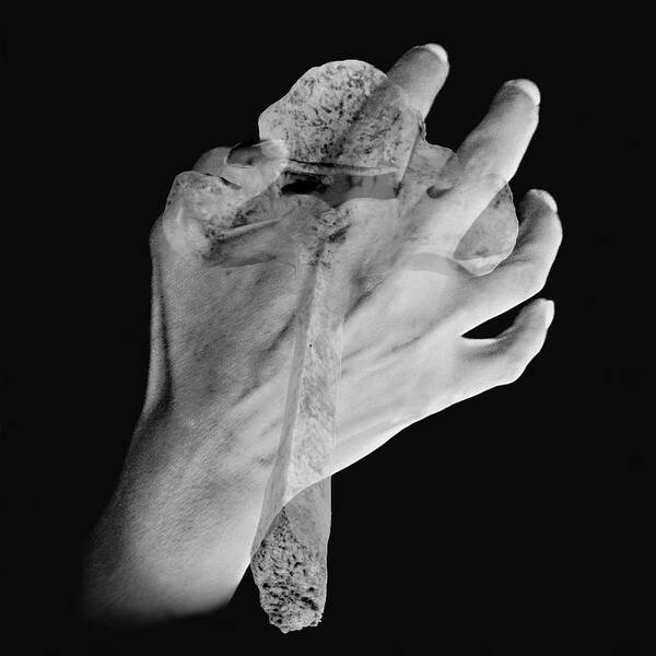 Hand Poster featuring the photograph Grasping by M Kathleen Warren
