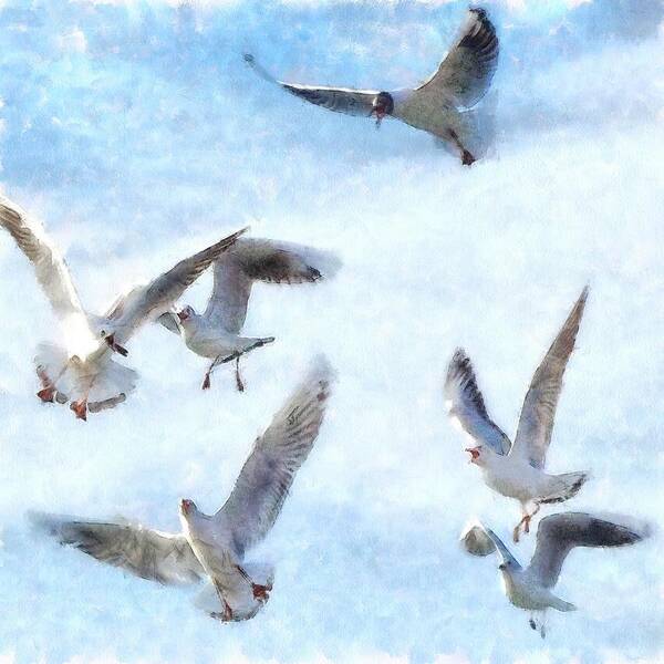 Gull Poster featuring the painting Gulls In Flight Watercolor by Taiche Acrylic Art