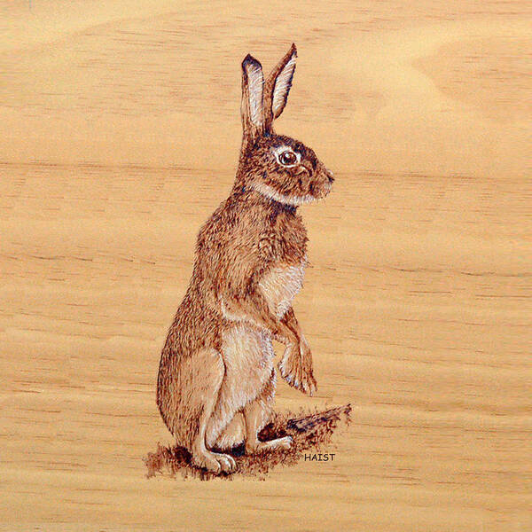  Poster featuring the pyrography Hare Pillow/bag by Ron Haist