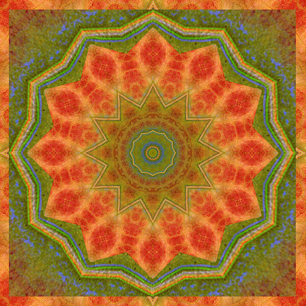  Poster featuring the photograph Healing Mandala 14 by Bell And Todd