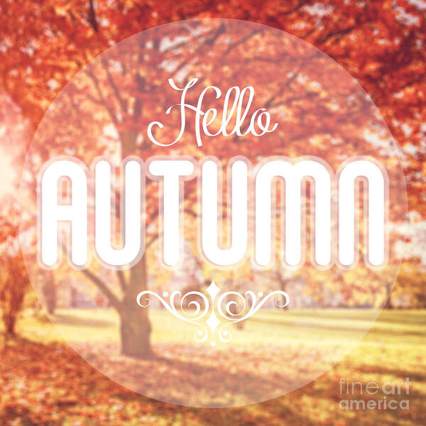 Words Poster featuring the photograph Hello Autumn by Sophie McAulay