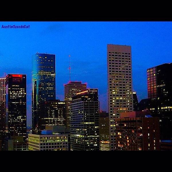 Houston Poster featuring the photograph #houston #skyline At #night. #lights by Austin Tuxedo Cat