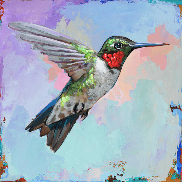 Hummingbird Poster featuring the painting Hummingbird #4 by David Palmer