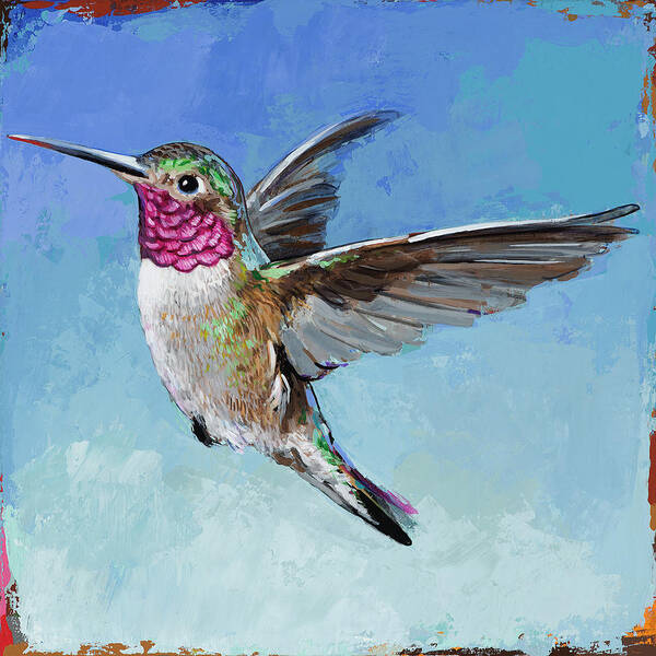 Hummingbird Poster featuring the painting Hummingbird #6 by David Palmer