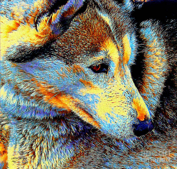 Dogs Poster featuring the digital art Husky Up Close by DB Hayes