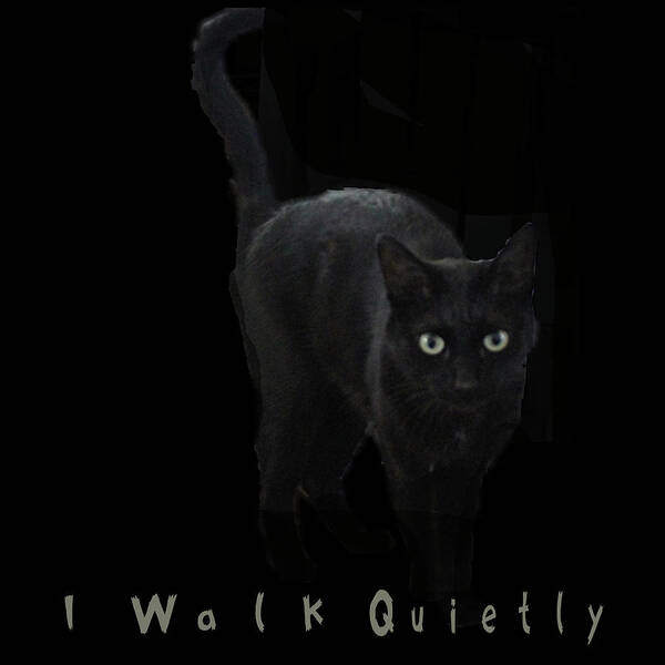 Blackcat Poster featuring the digital art I Walk Quietly by April Burton