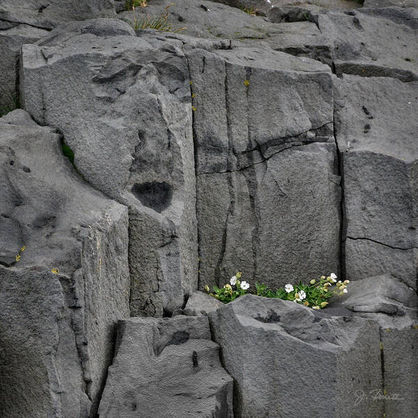 Iceland Poster featuring the photograph Iclandic Stone Serenade by Joe Bonita