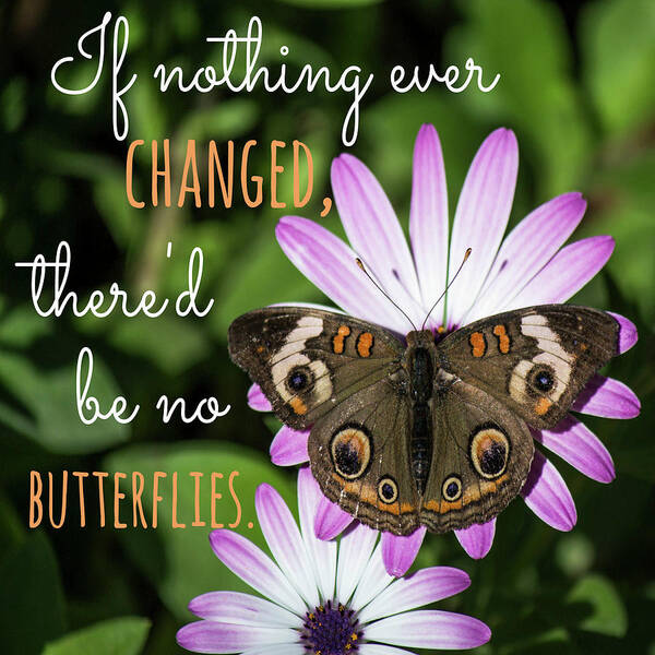 Inspiration Poster featuring the photograph If Nothing Ever Changed by Teresa Wilson