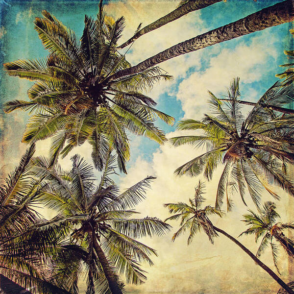 Photography Poster featuring the photograph Kauai Island Palms - Blue Hawaii Photography by Melanie Alexandra Price