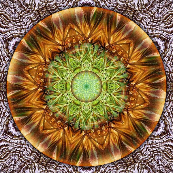 Symbolism Mandalas Poster featuring the digital art Autumnal Equinox by Becky Titus