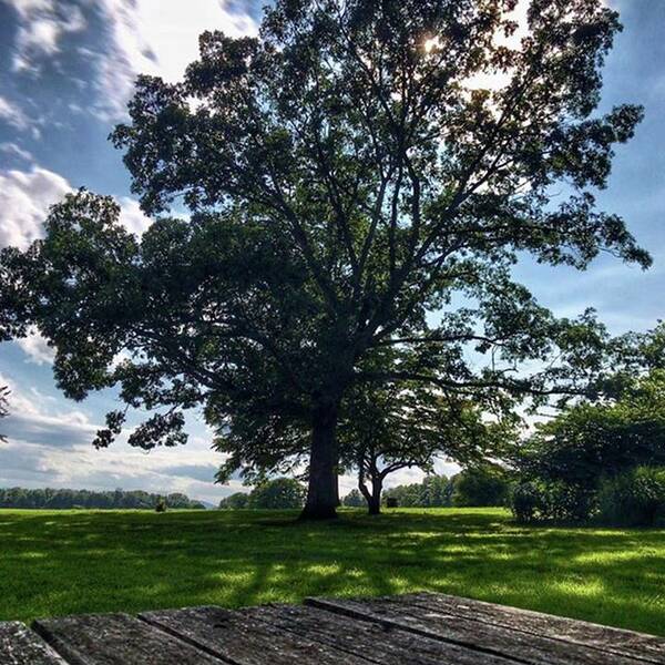 Latesummer Poster featuring the photograph Late Summer Beauty 
#latesummer by Blake Butler