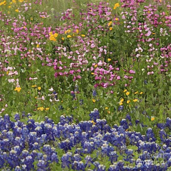 Flower Metal Print Poster featuring the photograph Lavender Blue by Joe Pratt