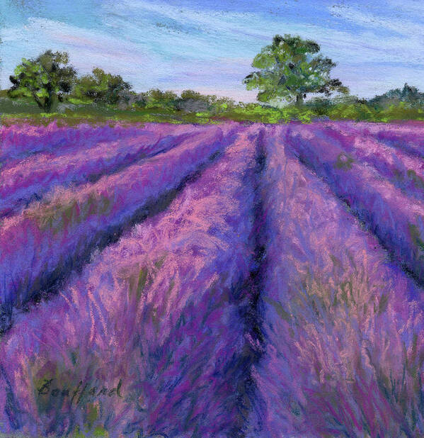 Lavender Poster featuring the pastel Lavender Field by Vikki Bouffard