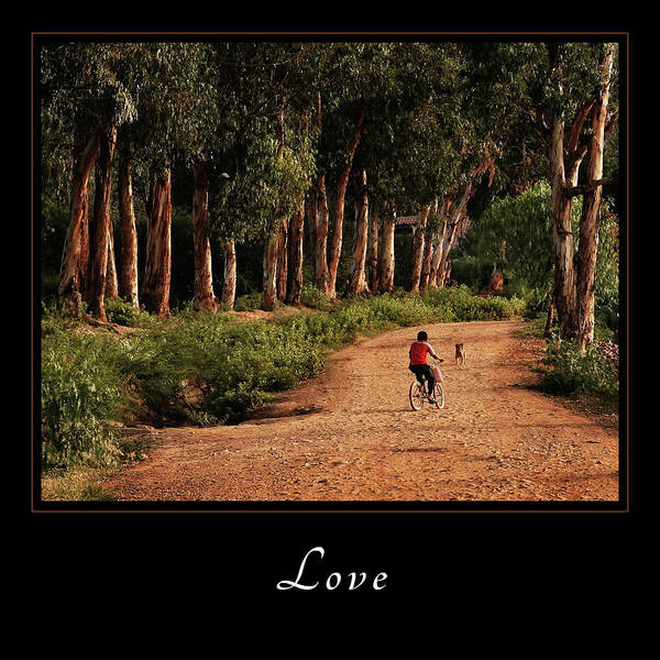 Inspiration Poster featuring the photograph Love 3 by Mary Jo Allen