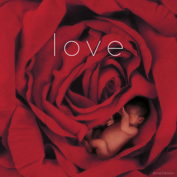 Love Poster featuring the photograph Love by Anne Geddes