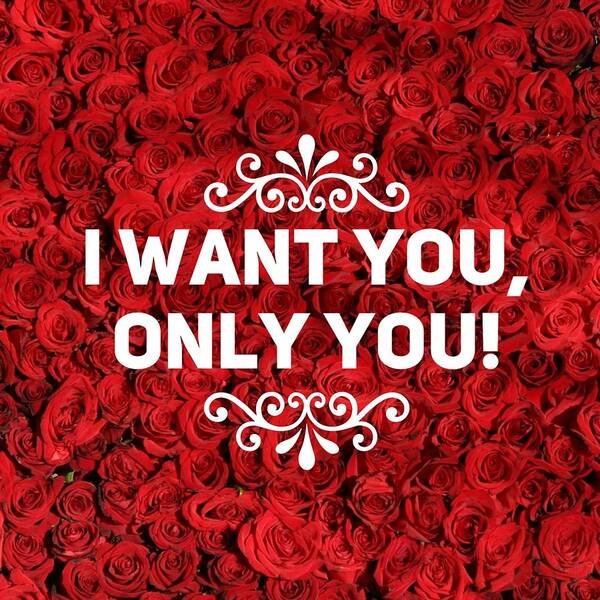 Quote Poster featuring the photograph Love quote I want you only you by Matthias Hauser