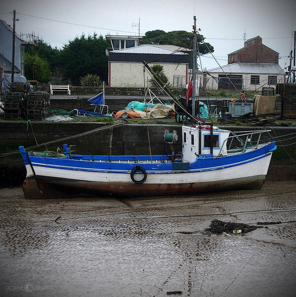 Boat Poster featuring the photograph Low Tide by Tim Nyberg