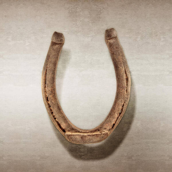 Iron Poster featuring the photograph Lucky Horseshoe by YoPedro