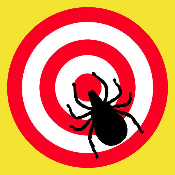 Richard Reeve Poster featuring the digital art Lyme Disease Ixodes Tick on Target by Richard Reeve