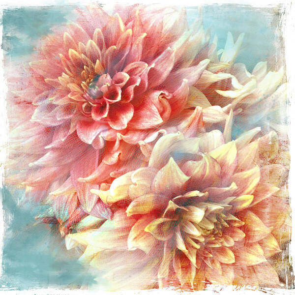 Dahlia Poster featuring the photograph Lynia Dahlia by Jill Love