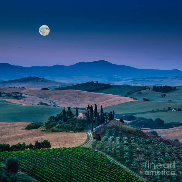Agriculture Poster featuring the photograph Magic Tuscany by JR Photography