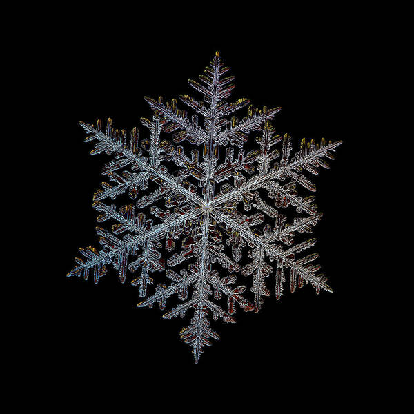 Snowflake Poster featuring the photograph Majestic crystal, black version by Alexey Kljatov