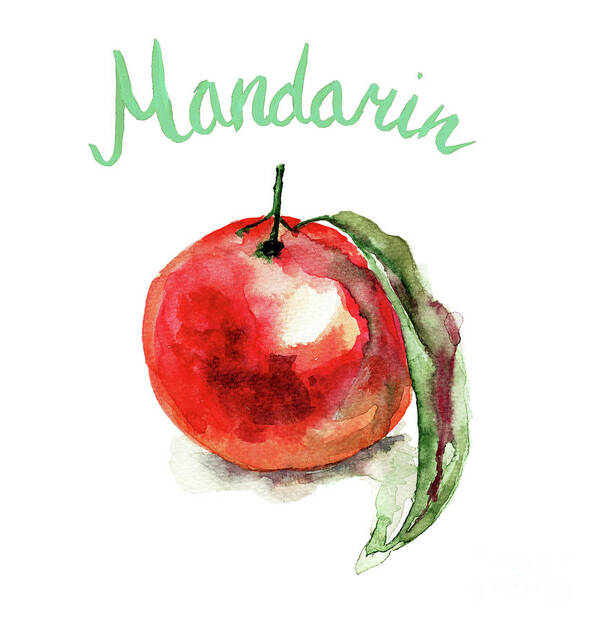 Background Poster featuring the painting Mandarin fruits by Regina Jershova